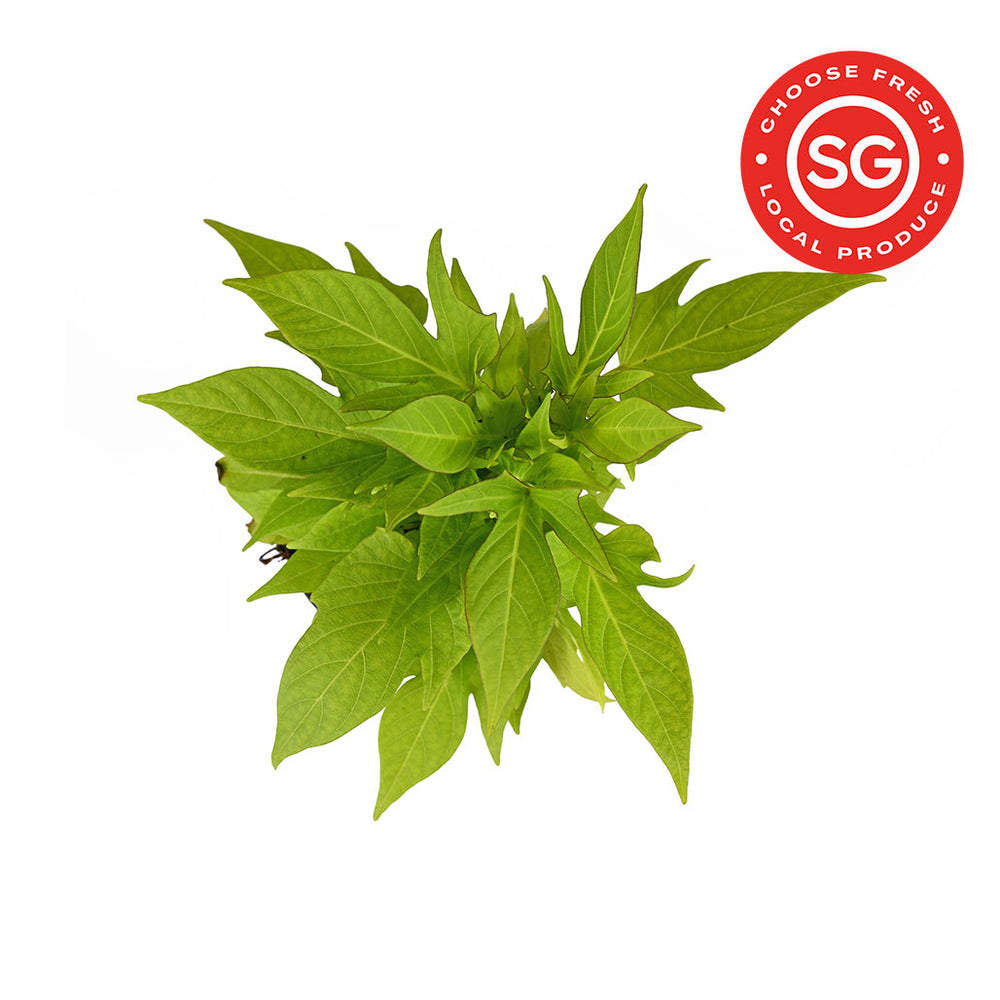 LSSI Sweet Potato Leaves_番薯叶_Code No: 1012