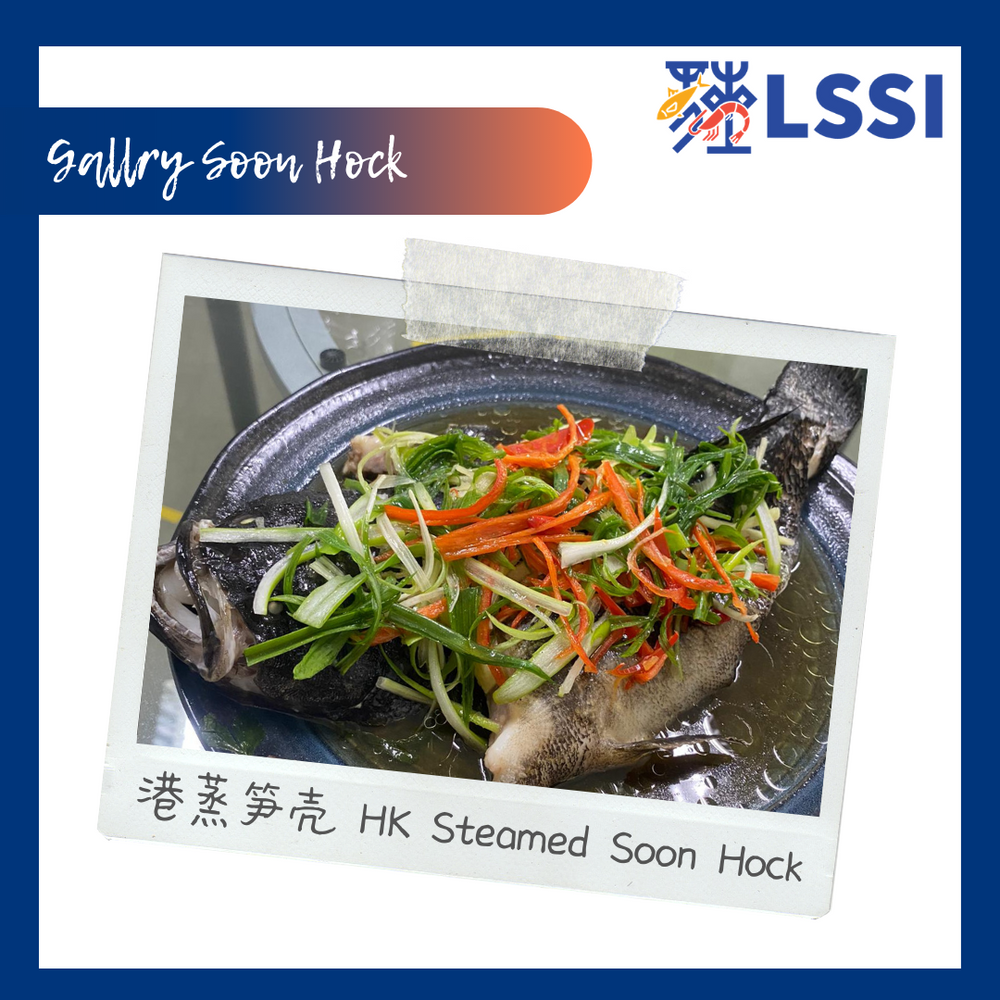 
                  
                    LSSI Marble Goby (Soon Hock)_笋壳鱼_Code No: 1003
                  
                